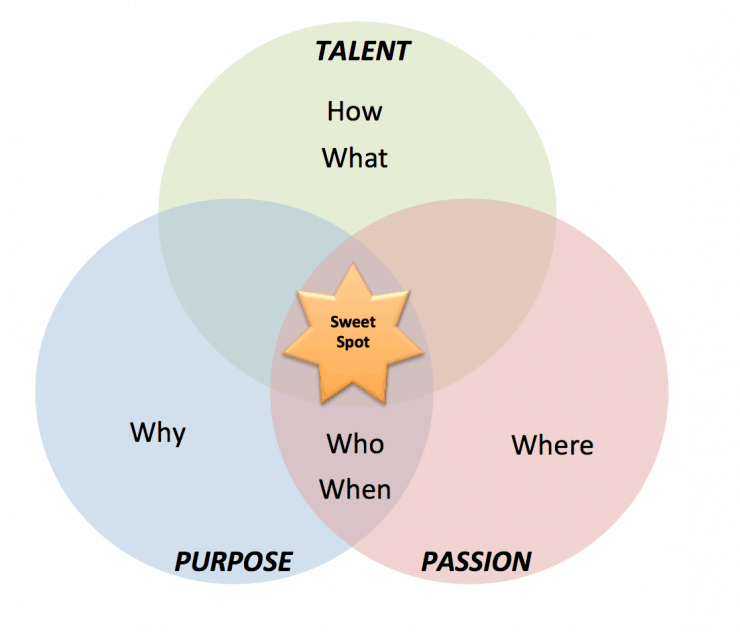 Roles Of Talent, Purpose And Passion